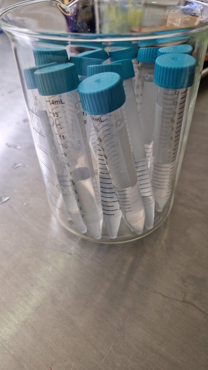 Tubos de laboratorio con tapa azul dentro de un vaso de precipitados